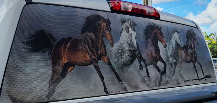 Horses Horse Running retailer in Field Glass Rear Window Decal Graphic Truck Perf Vinyl Perforated